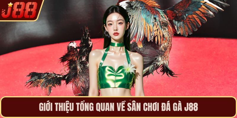 Giới thiệu tổng quan về sân chơi đá gà J88